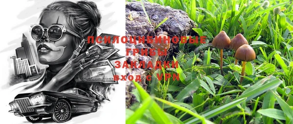 дмт Баксан