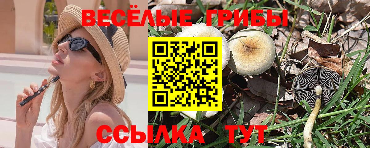 Галлюциногенные грибы прущие грибы Гай