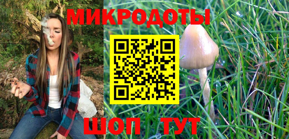 Галлюциногенные грибы Magic Shrooms  Гай 